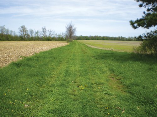 Property photo 4 - 160 Acres in 4 Tracts - Building Potential and Cropland
